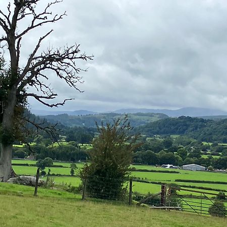Hares Hideaway At Coed Moelfa Bed and Breakfast Corwen Buitenkant foto