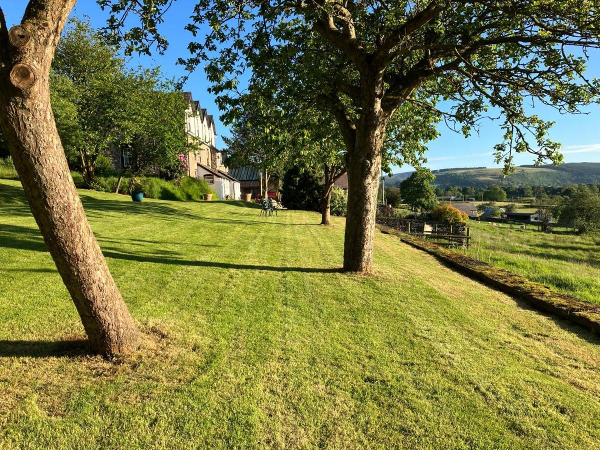Hares Hideaway At Coed Moelfa Bed and Breakfast Corwen Buitenkant foto