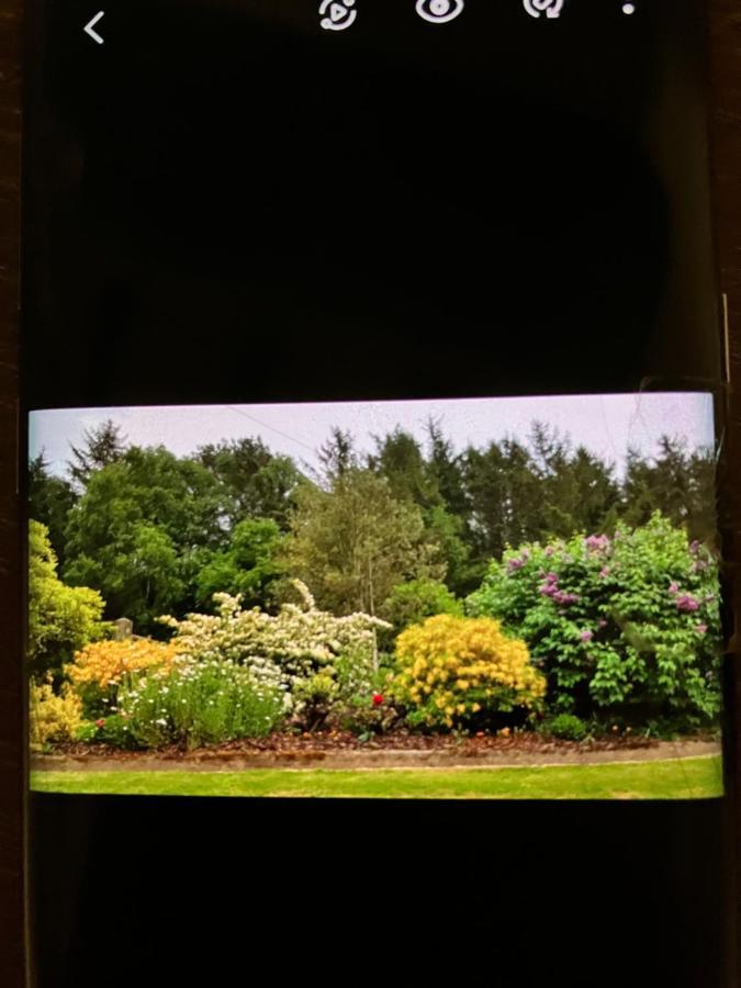 Hares Hideaway At Coed Moelfa Bed and Breakfast Corwen Buitenkant foto