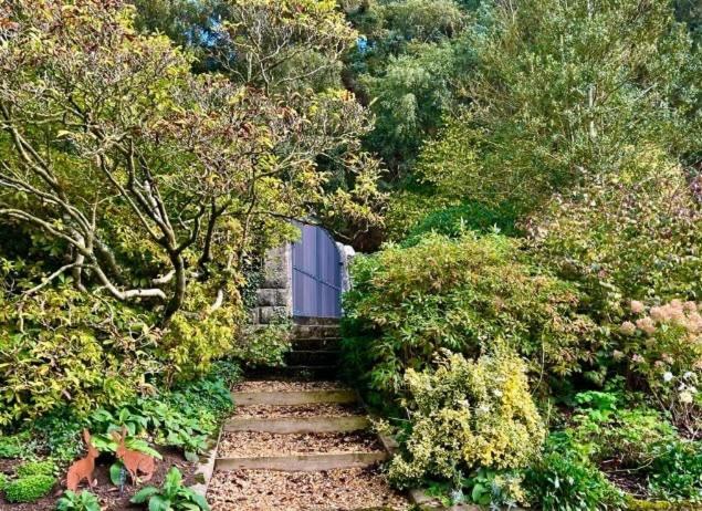 Hares Hideaway At Coed Moelfa Bed and Breakfast Corwen Buitenkant foto